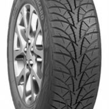 Rosava Snowgard 175/70 R13 82T