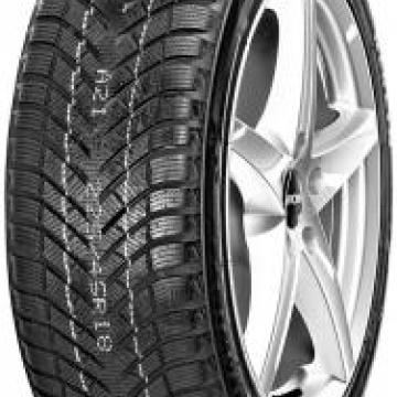 Neolin NEOWINTER 225/55 R16 99H