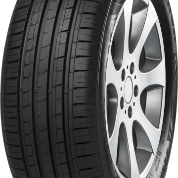 Minerva F209 225/60 R15 96V