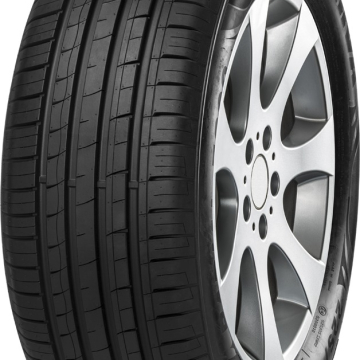 Minerva F209 195/55 R16 87H