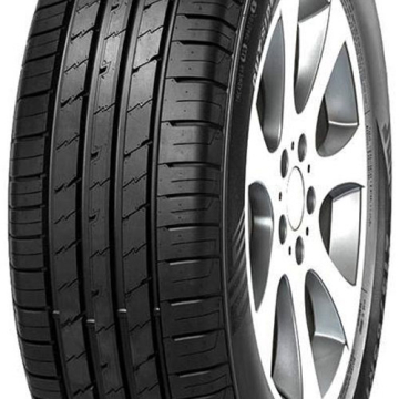 Minerva Ecospeed 2 SUV 255/65 R17 110H