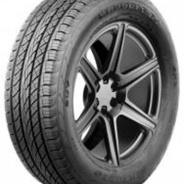 Antares MAJORIS R1 225/55 R19 99V