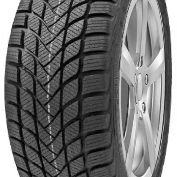 DELINTE Winter WD6 185/60 R15 88H