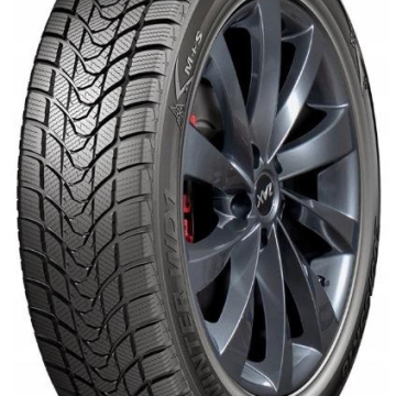 DELINTE WD1 195/55 R15 85H