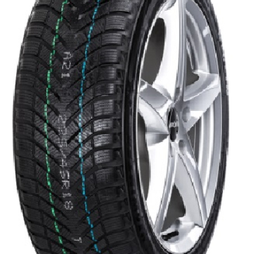 Neolin Neo Winter 205/65 R16C 107R