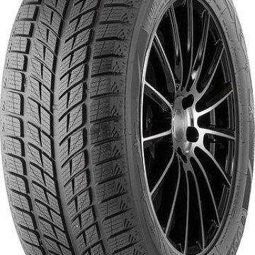 DOUBLESTAR DOUBLESTAR DW09 245/45 R18 96T