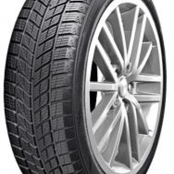 DOUBLESTAR DW09 3PMSF 275/40 R20 106V