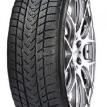 Gripmax STATUS PRO WINTER 3PMSF 255/35 R19 96V