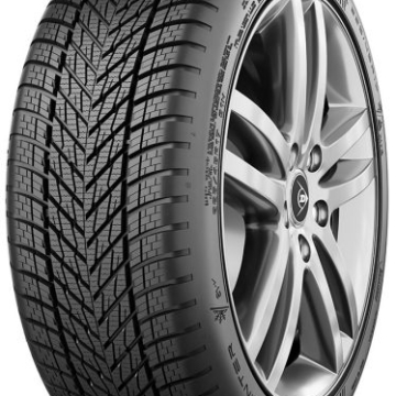 DUNLOP Dunlop Winter 215/55 R17 V