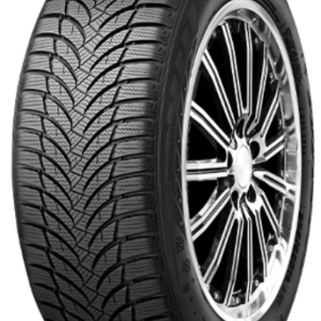 Roadstone Eurovis alpine 2 195/65 R15 95T