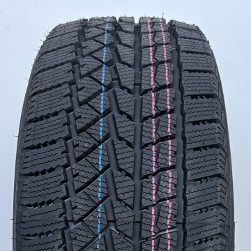 DOUBLESTAR WINTERKING DW02 Minšto mišinio 225/50 R17 94T