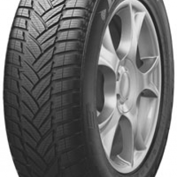 DUNLOP GRANDTREK WT M3 265/55 R19 109H