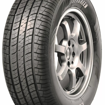 Evergreen Dynacomfort ES83 225/60 R17 99H