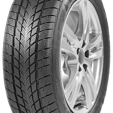 Davanti Wintoura 205/60 R16 96H