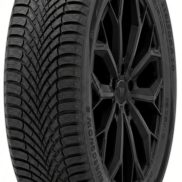 Tyfoon Eurosnow 5 245/45 R18 100V