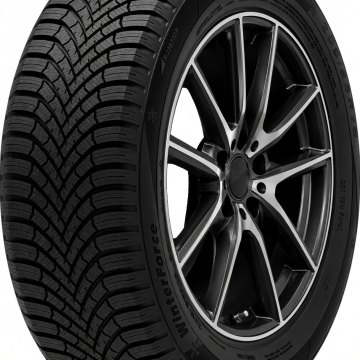 DELINTE Winterforce 205/55 R17 95H