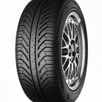 Michelin Pilot Sport A/S + 255/45 R19 100V