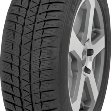 FALKEN Eurowinter HS449 225/55 R17 97H