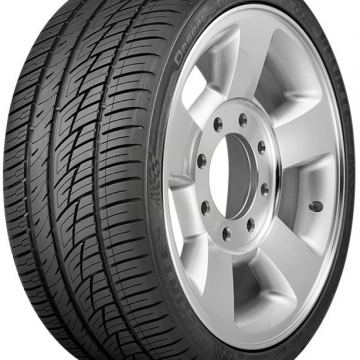 DELINTE DS8 255/30 R22 95Y