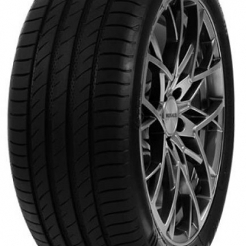 DELINTE DS2 SUV 225/55 R18 102W