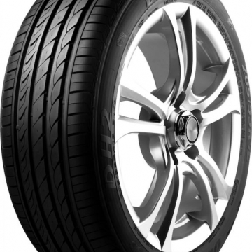 DELINTE DH2 205/55 R16 91V