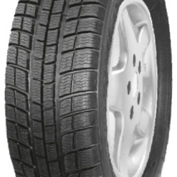 PROFIL (Atnaujintos) WINTERMAXX 205/55 R16 91H