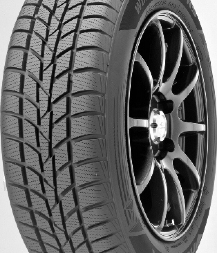 Hankook WINTER I*CEPT RS W442 155/80 R13 79T