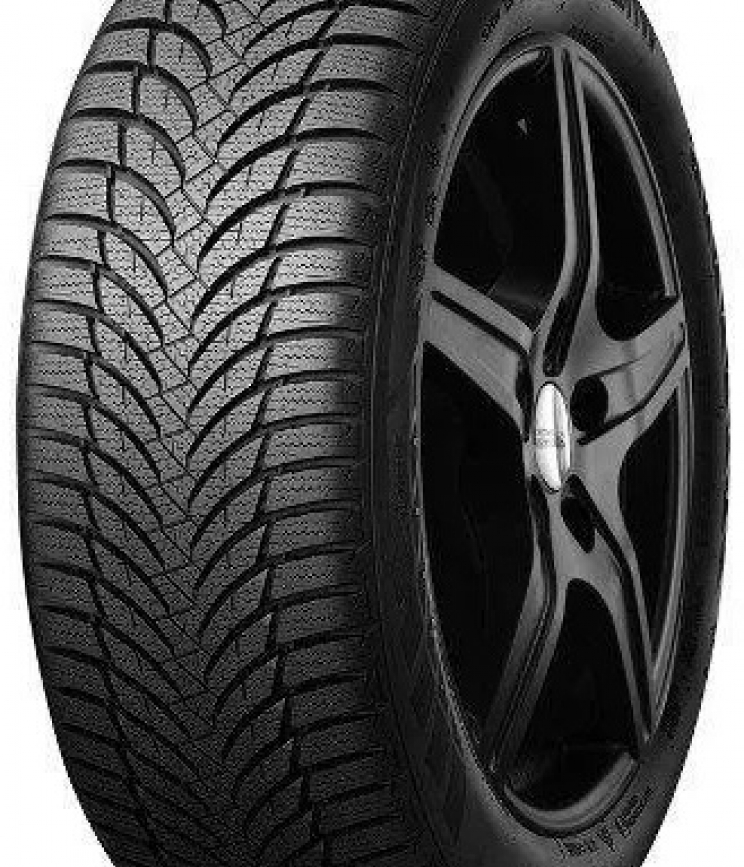 Nexen WINGUARD SNOW G 2 WH2 175/70 R13 82T