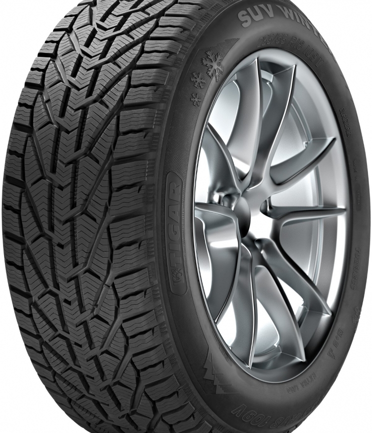 Tigar/Kormoran Winter 195/55 R15 85H