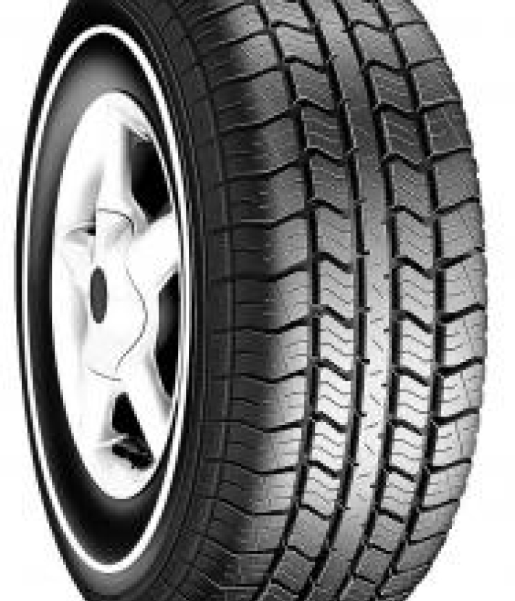 Roadstone WINGUARD ICE PLUS 245/45 R17 99V