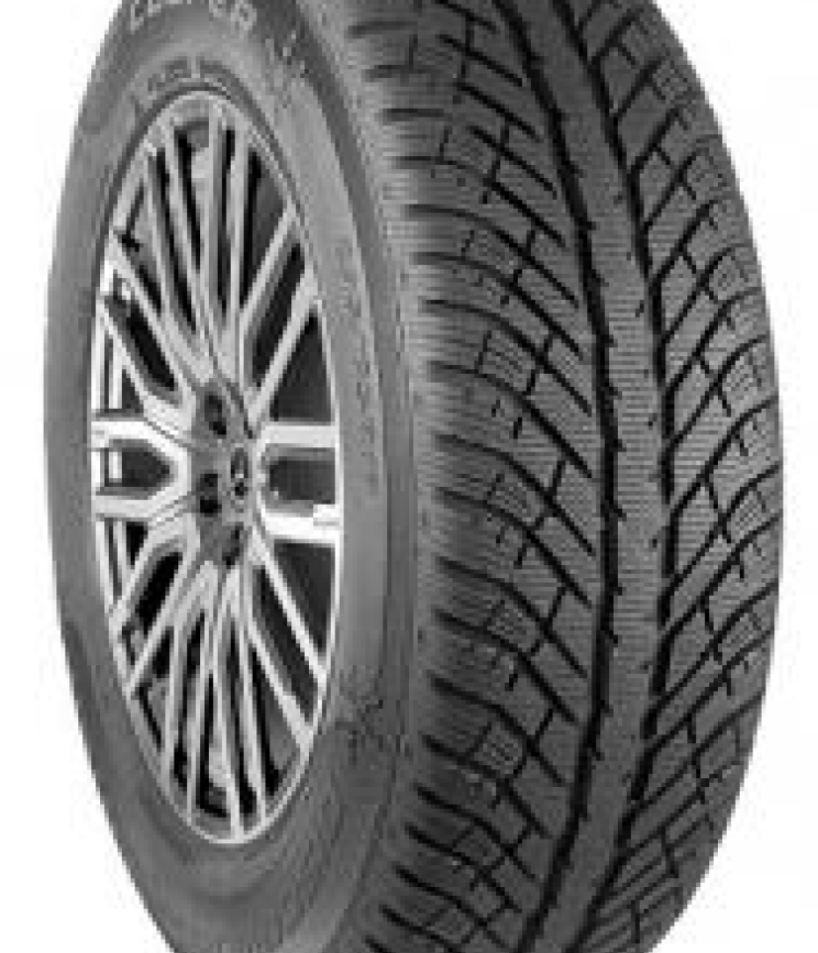 Cooper DISCOVERER WINTER 295/35 R21 107V