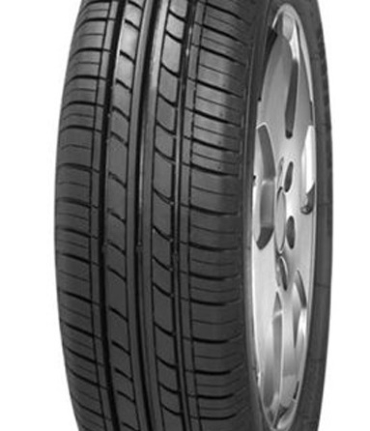 Minerva 209 195/65 R15 95T
