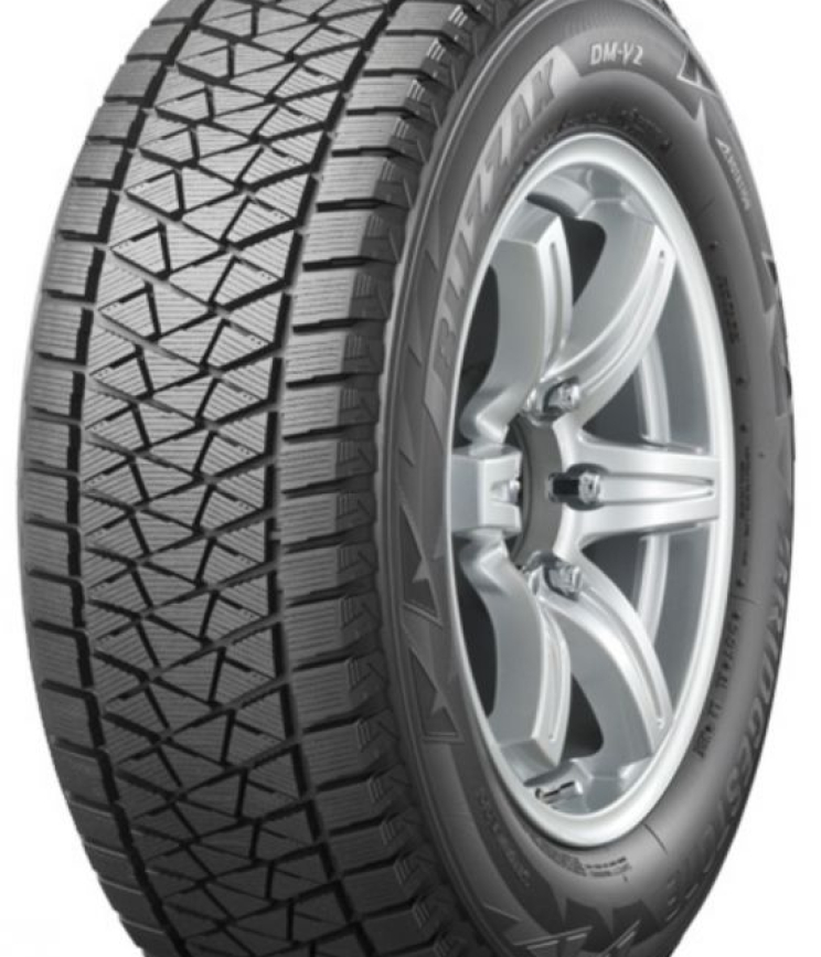 Bridgestone Blizzak DM V2 235/75 R15 109R