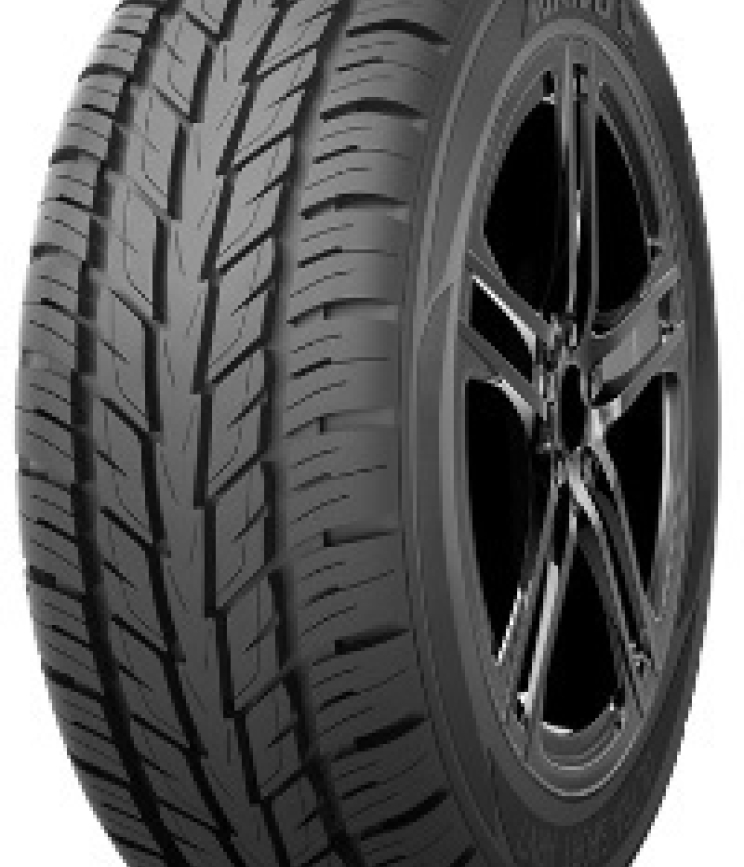 Arivo ULTRA SPORT ARV 7 255/55 R20 110V