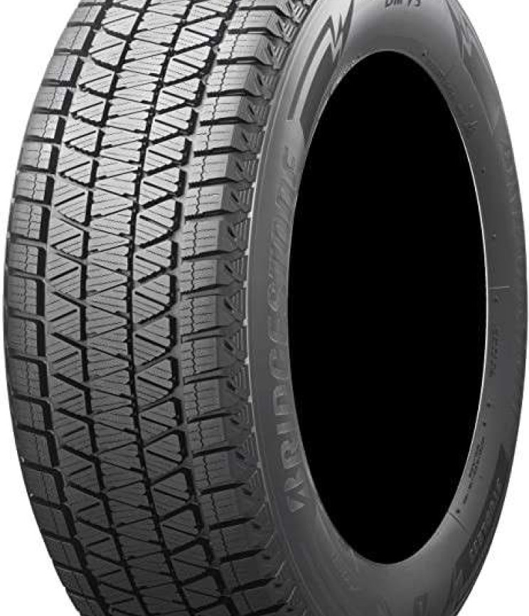 Bridgestone Blizzak DM V3 275/45 R20 110T