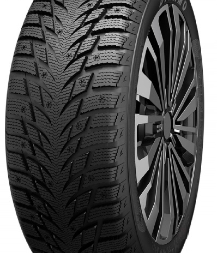 DYNAMO Snow-H MWH02 205/55 R16 91H