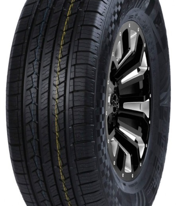 DOUBLESTAR DS01 255/55 R20 110V