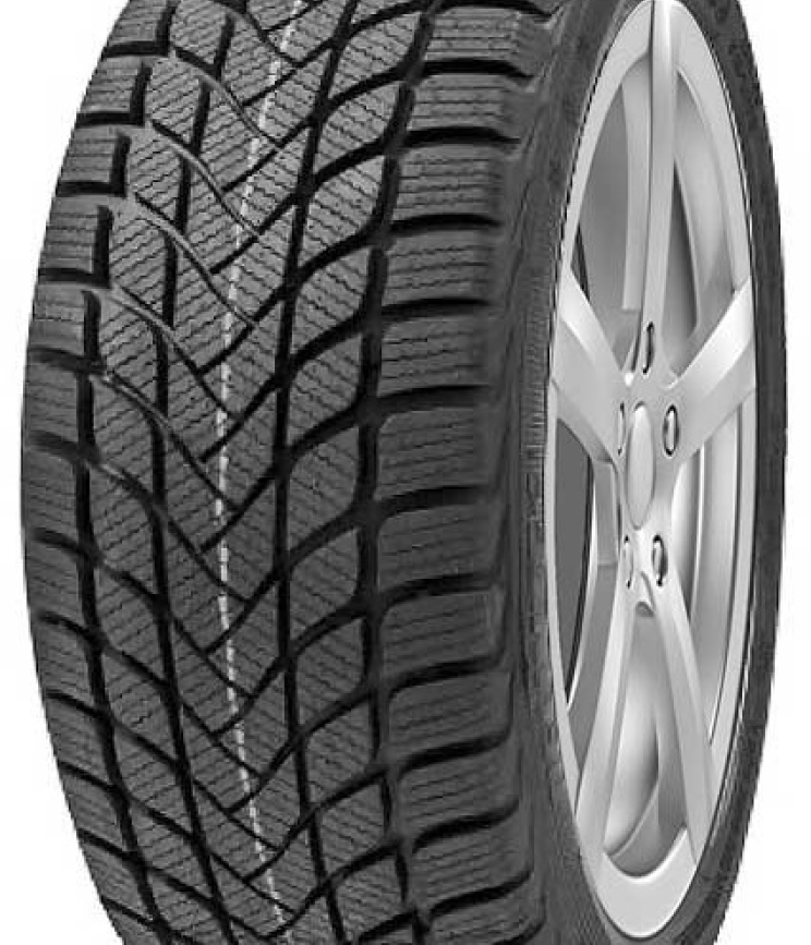 DELINTE Winter WD6 185/60 R15 88H