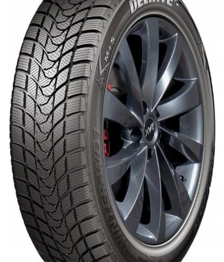 DELINTE WD1 195/55 R15 85H
