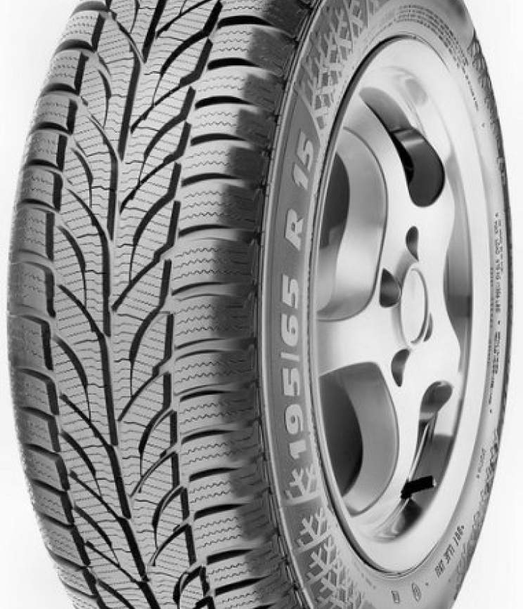 PAXARO WINTER 225/55 R17 101V