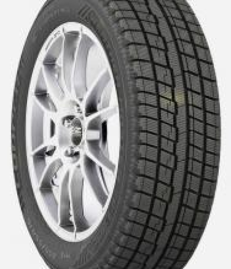 Cooper WEATHERMASTER ICE 100 225/50 R17 94T