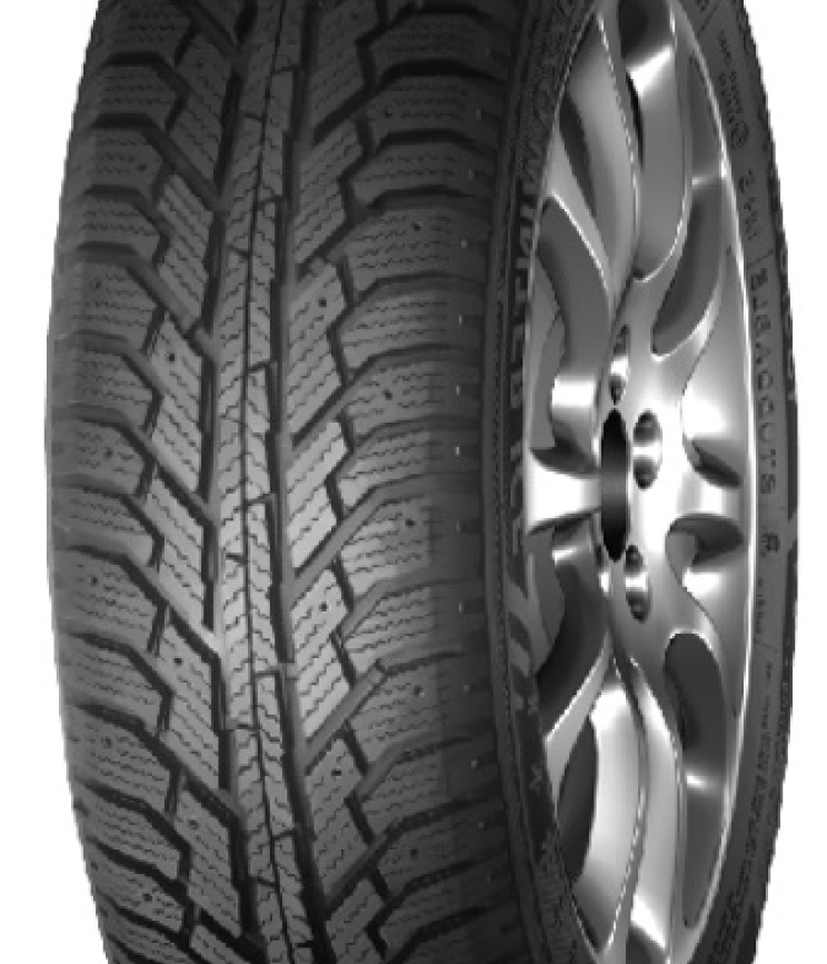 Neolin Neo Winter ICE 205/55 R16 91T