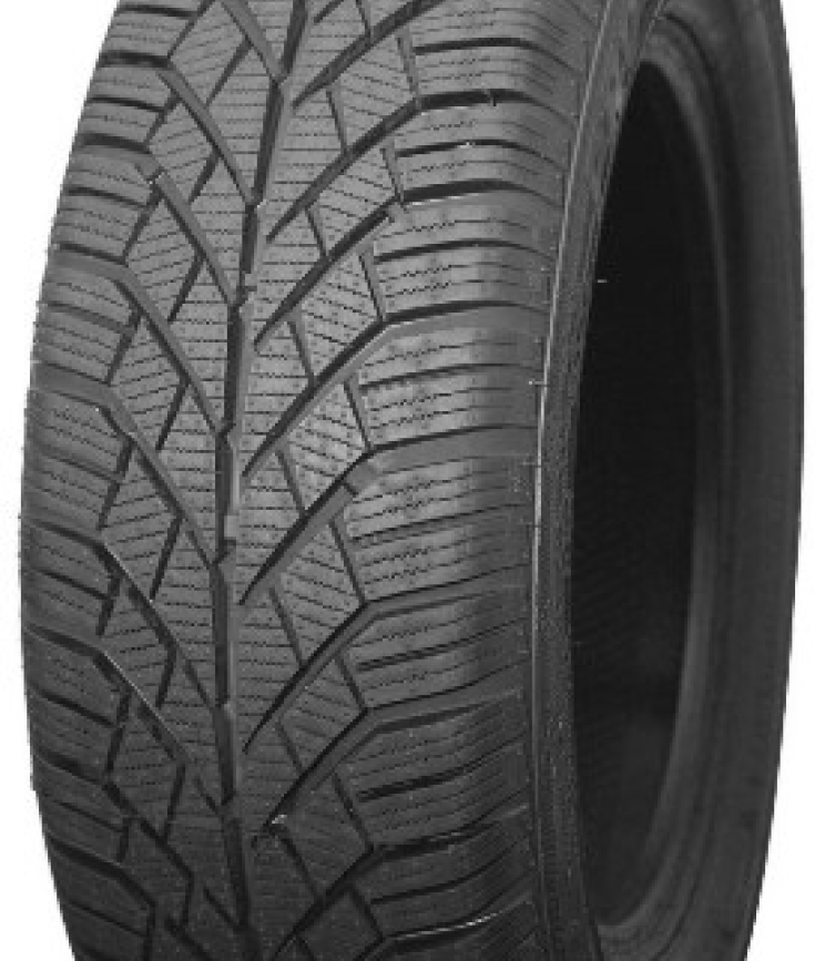 PROFIL (Atnaujintos) PROSNOW ULTRA 195/65 R15 91T