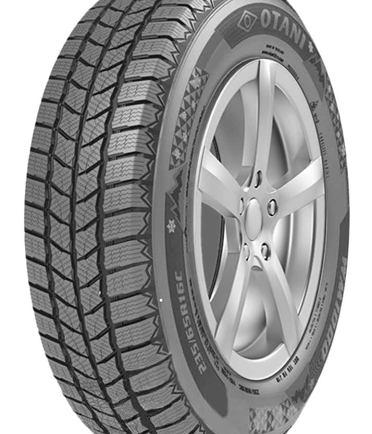 OTANI Otani WM1000 205/65 R16 107 T