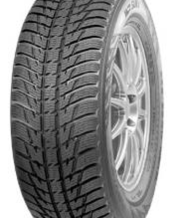 Nokian WR SUV 3 3PMSF 235/75 R15 105T