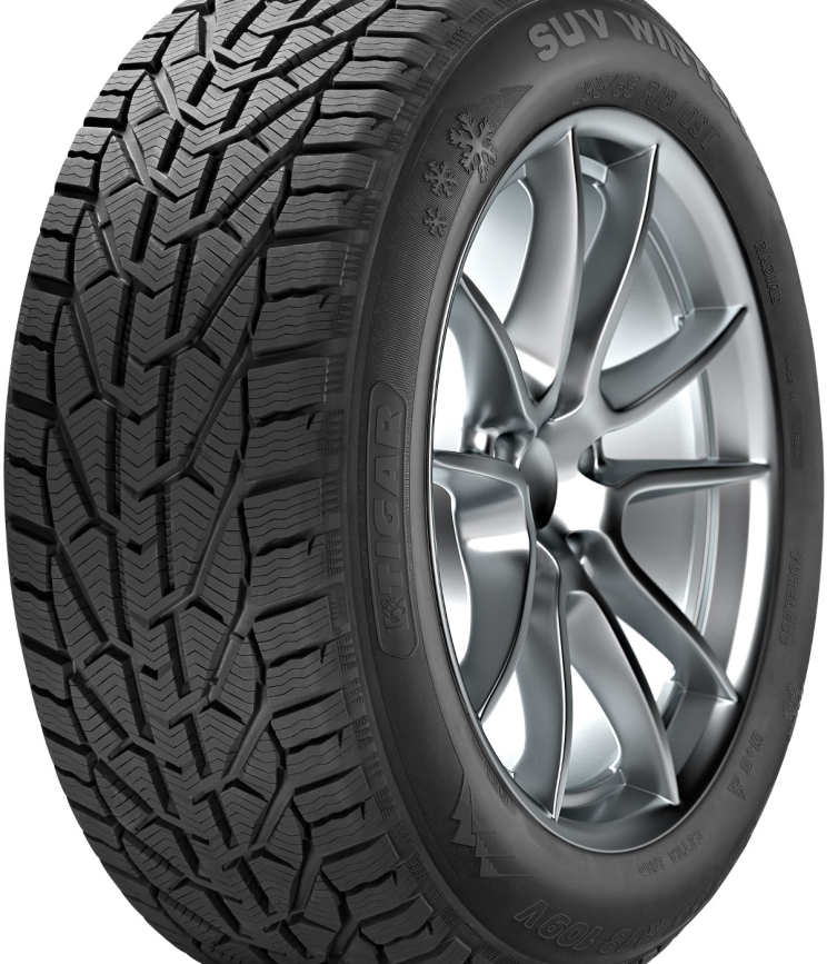 Tigar Winter 195/55 R15 85H