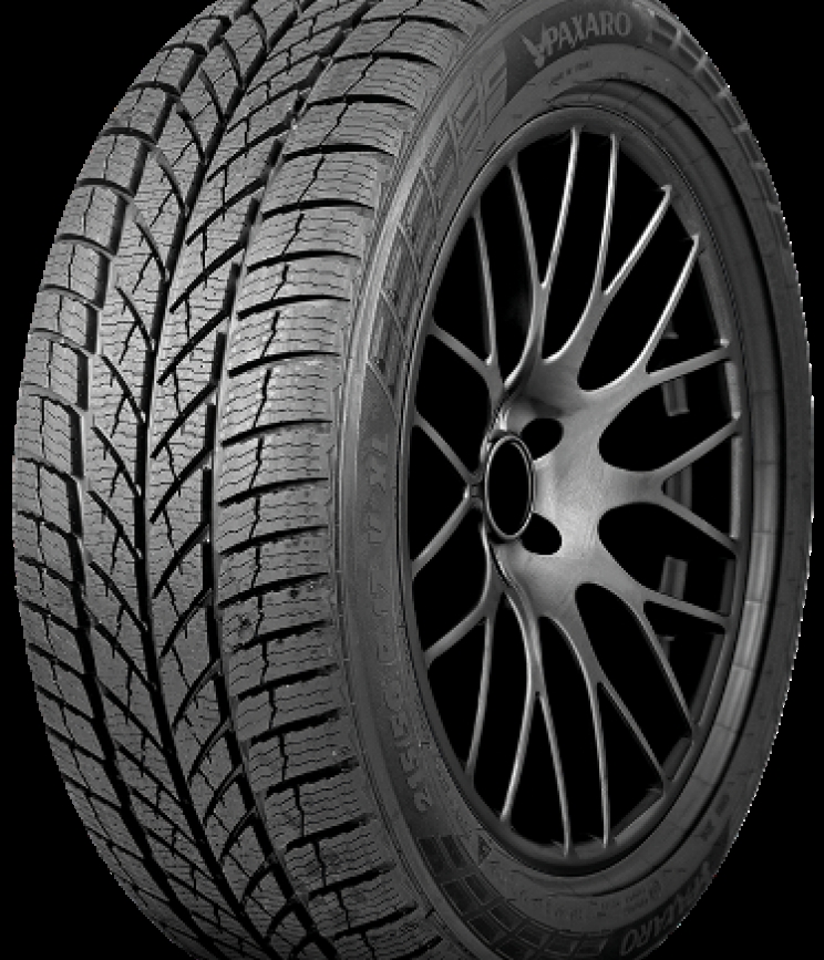 PAXARO INVERNO 215/50 R17 95V