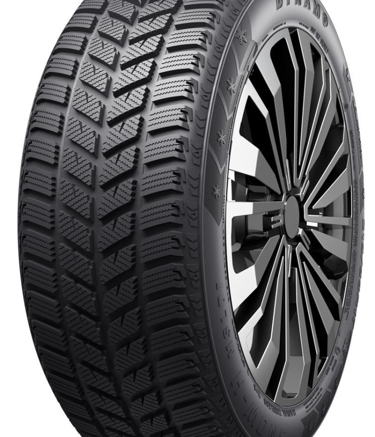 DYNAMO SNOW-H MSL01 225/55 R16 99T