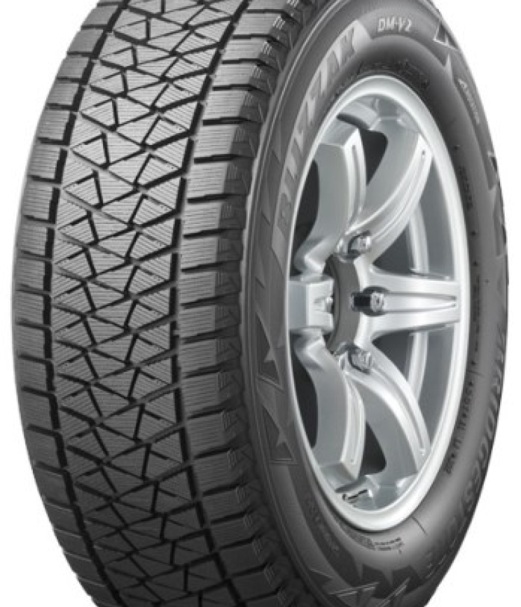 Bridgestone DM-V2 195/80 R15 96R