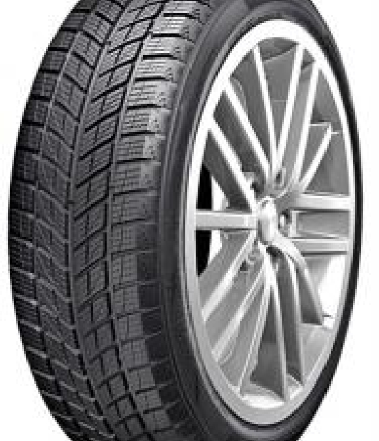 DOUBLESTAR DW09 3PMSF 245/40 R18 93H